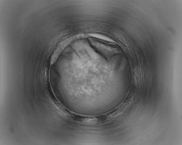 X0000115190410200911121826