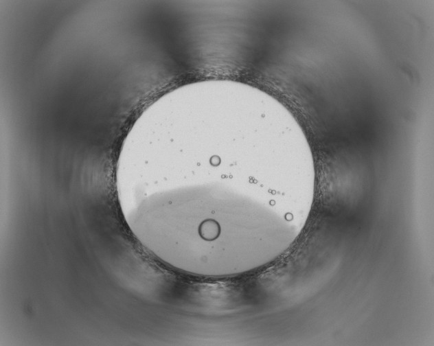 X0000115190411200911121826