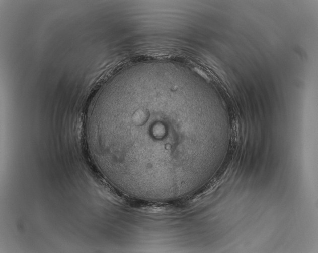 X0000115190412200911121826