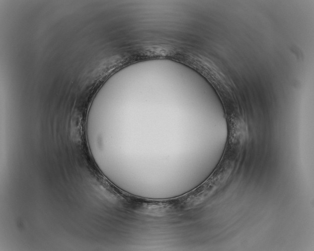 X0000115190414200911121826