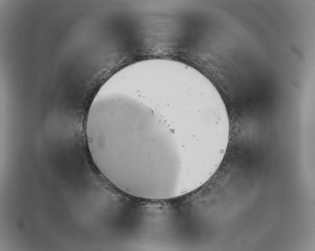 X0000115190415200911121826