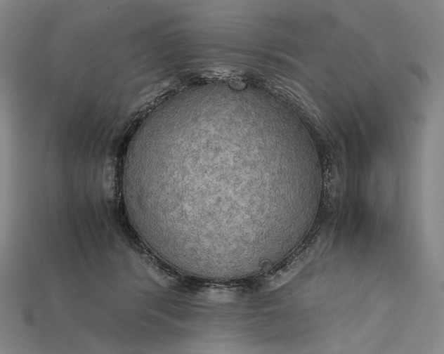 X0000115190416200911121826