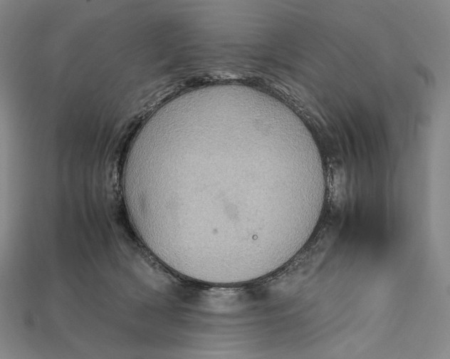 X0000115190418200911121826