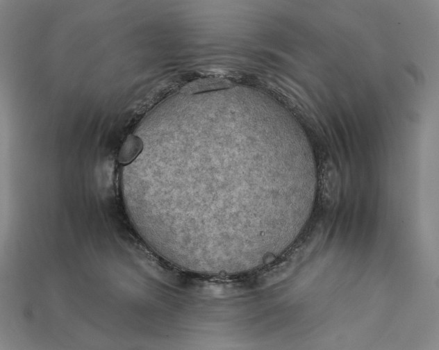 X0000115190420200911121826