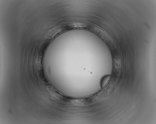 X0000115190422200911121825
