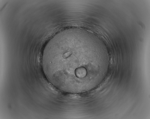 X0000115190424200911121825