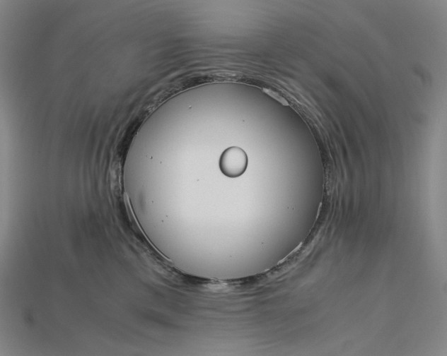 X0000115190425200911121825