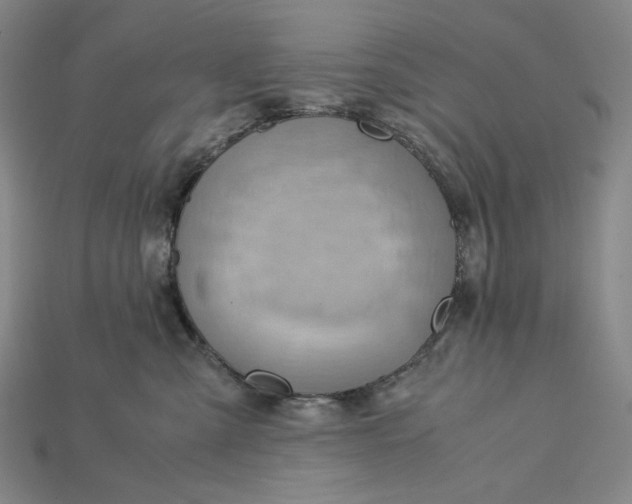 X0000115190427200911121825