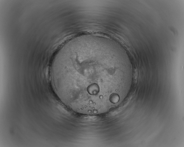 X0000115190428200911121825
