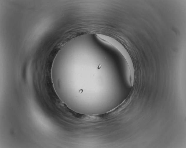 X0000115190429200911121825