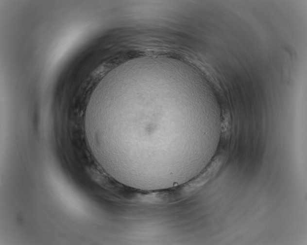 X0000115190430200911121825