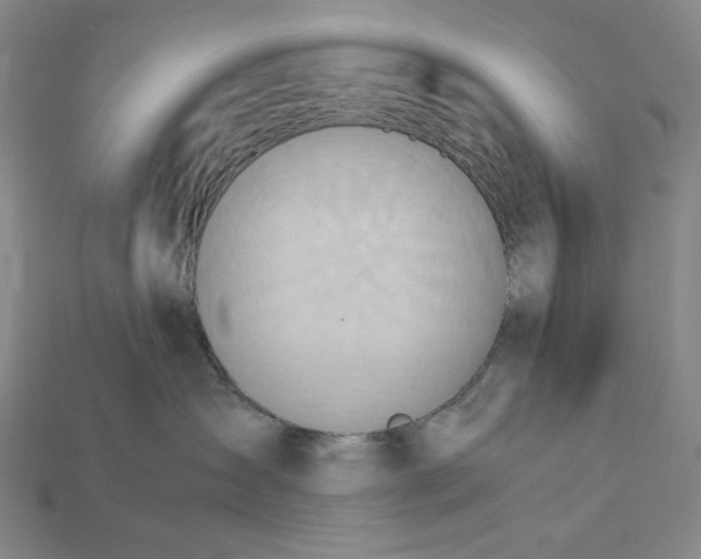 X0000115190431200911121825