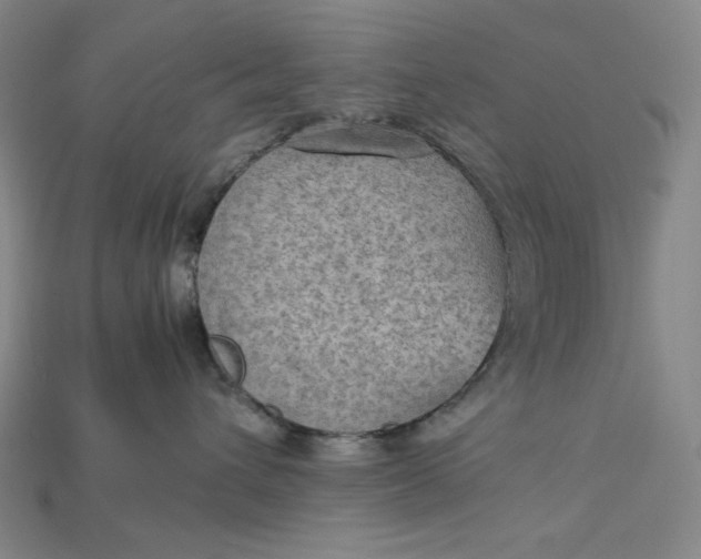X0000115190432200911121825