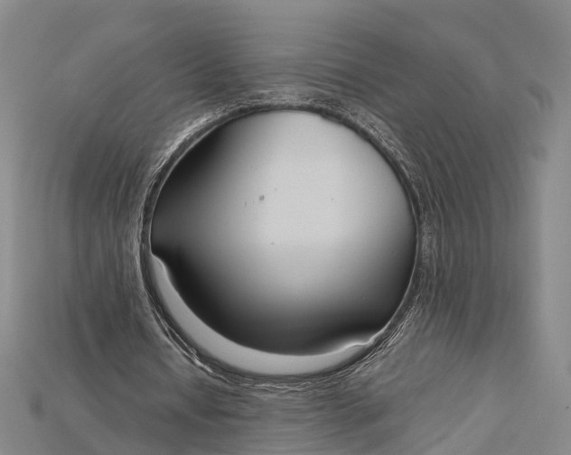 X0000115190434200911121825