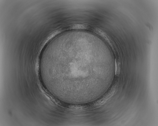 X0000115190435200911121825