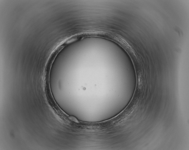 X0000115190436200911121825