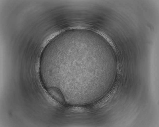 X0000115190437200911121825