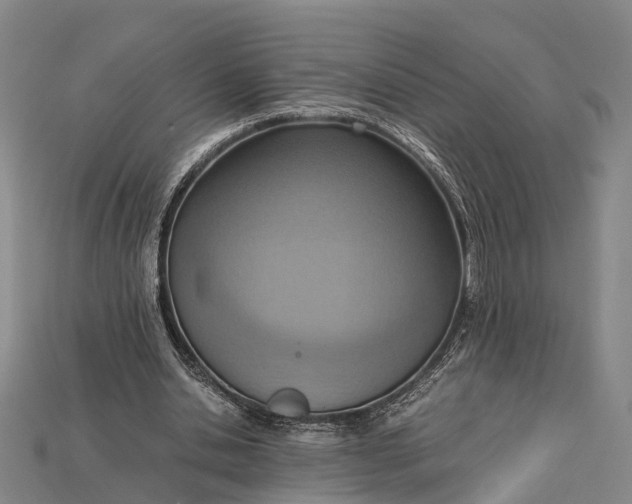 X0000115190438200911121825