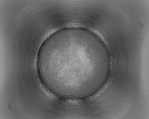 X0000115190439200911121825