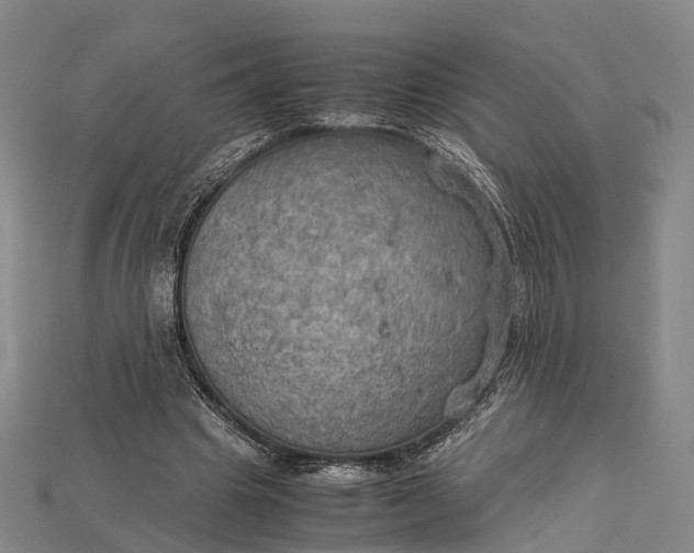 X0000115190441200911121825
