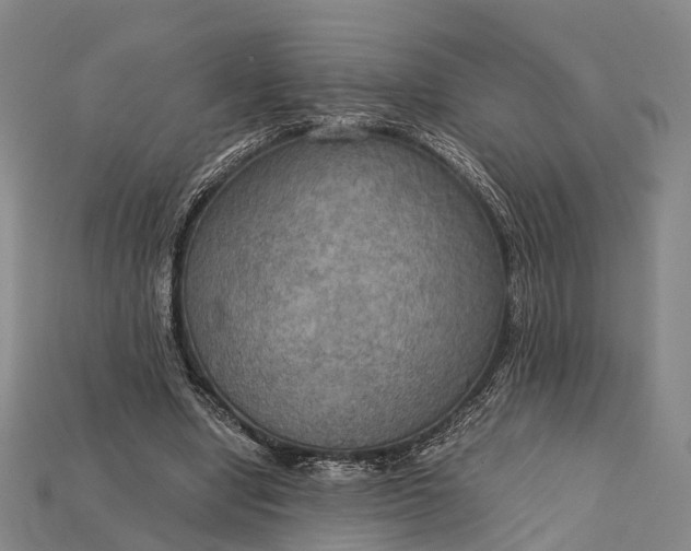 X0000115190442200911121825