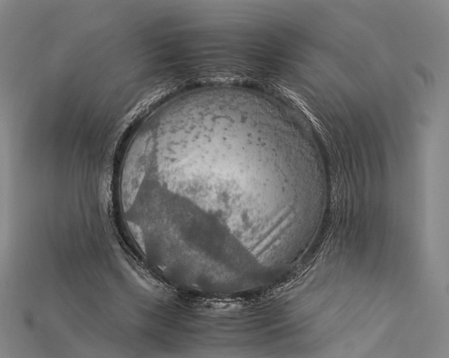 X0000115190443200911121825