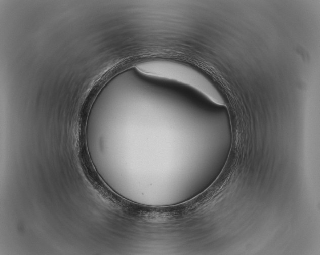 X0000115190444200911121825