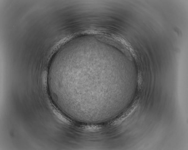 X0000115190445200911121825