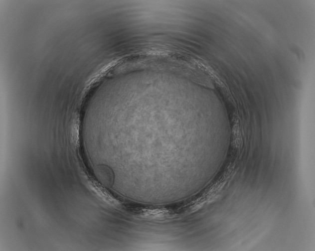 X0000115190446200911121825