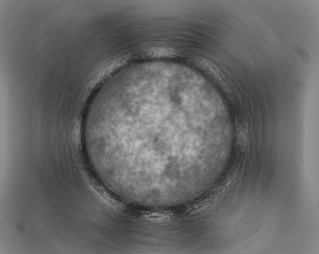 X0000115190447200911121825
