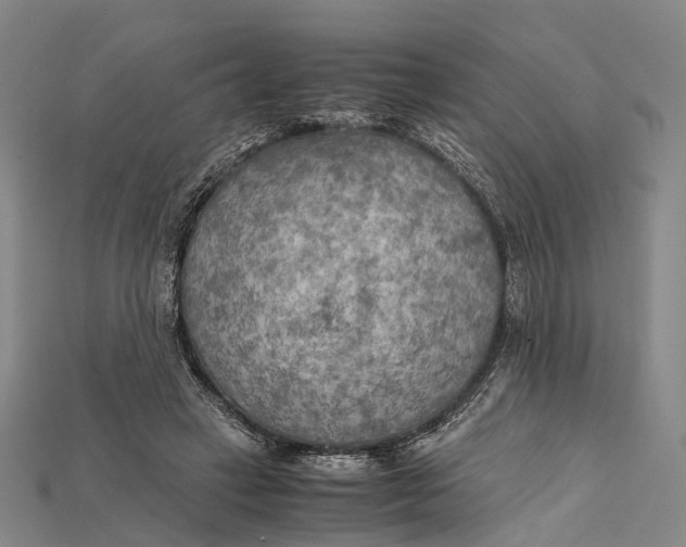 X0000115190449200911121825