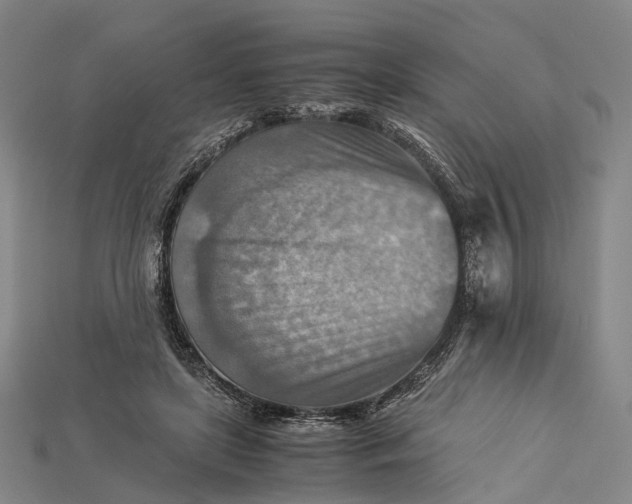 X0000115190451200911121825