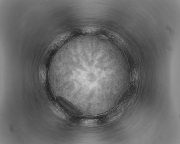 X0000115190452200911121825