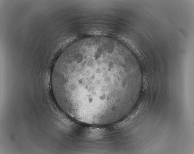 X0000115190453200911121825
