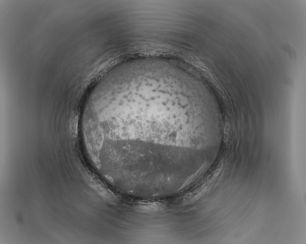 X0000115190454200911121825