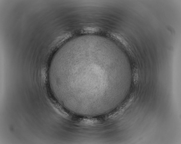 X0000115190455200911121825