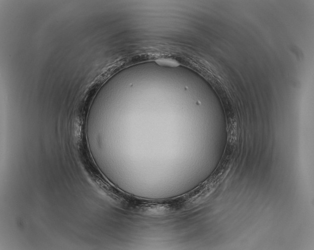 X0000115190456200911121825