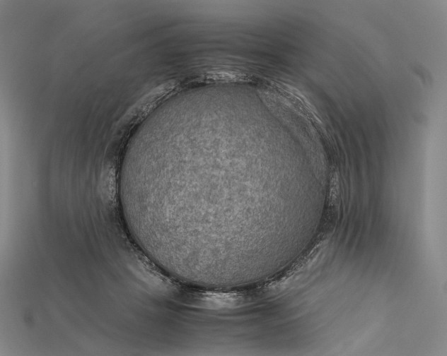 X0000115190457200911121825