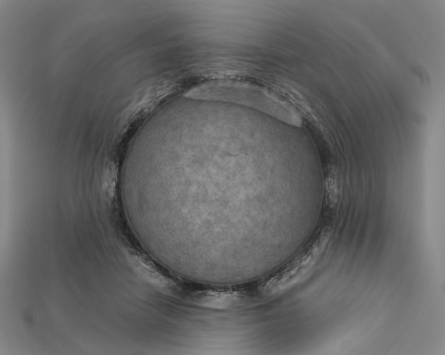 X0000115190458200911121825