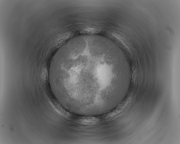 X0000115190459200911121825
