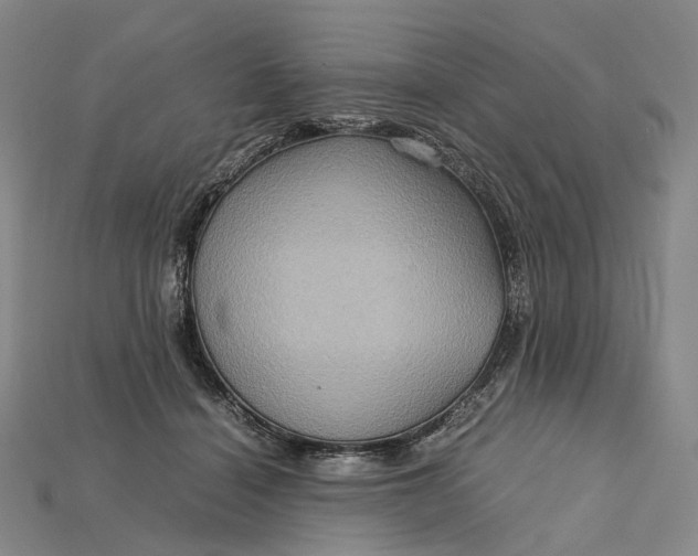 X0000115190460200911121825