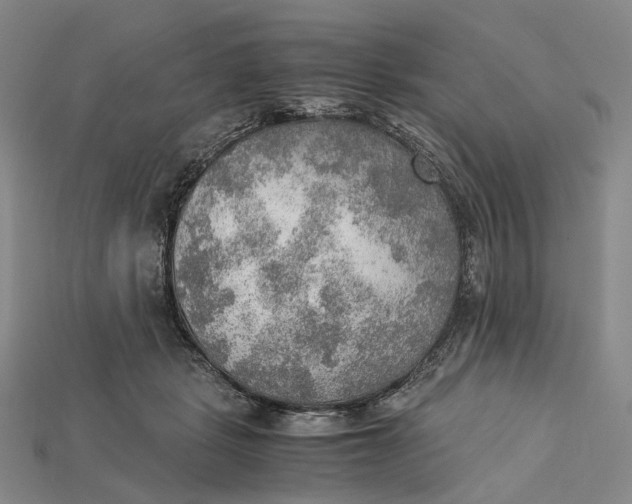 X0000115190461200911121825