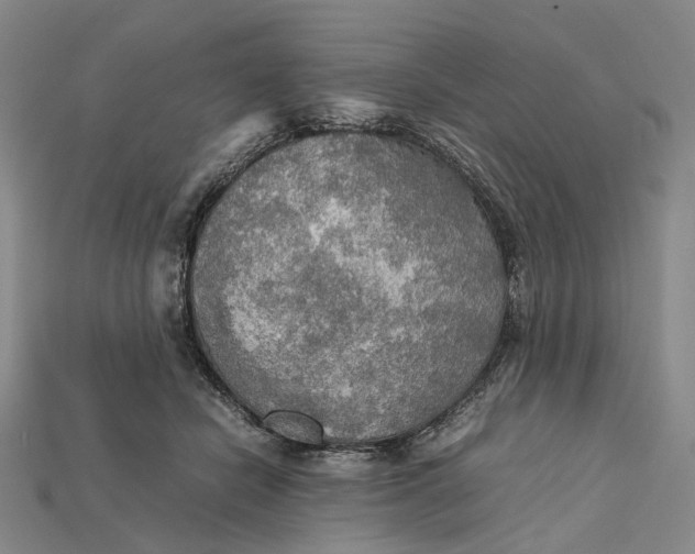 X0000115190462200911121825