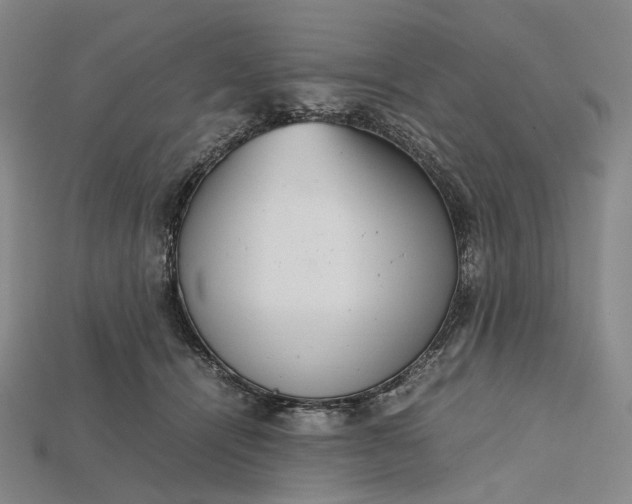 X0000115190464200911121825