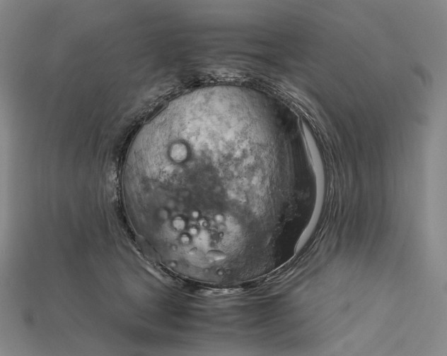 X0000115190465200911121825