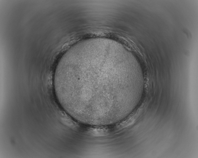 X0000115190466200911121825