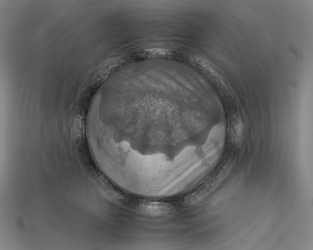 X0000115190467200911121825
