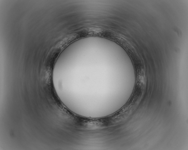 X0000115190468200911121825