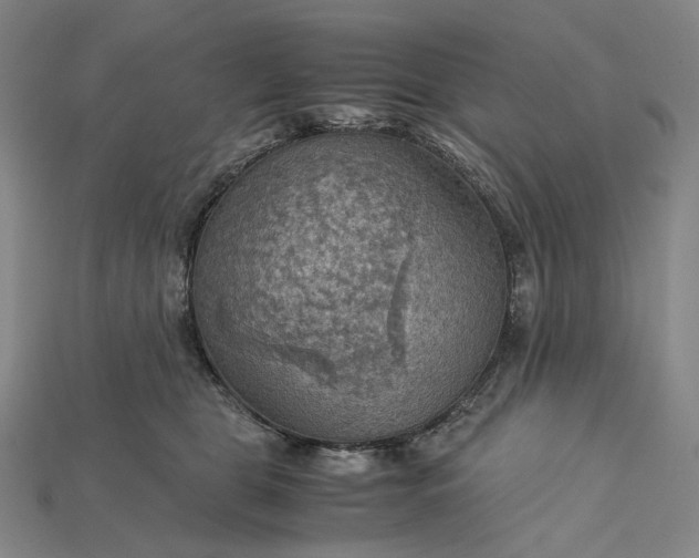 X0000115190469200911121825