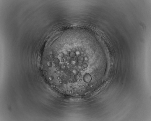 X0000115190470200911121825